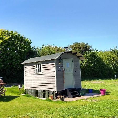 Shepherd'S Lodge - Shepherd'S Hut With Devon Views For Up To Two People And One Dog Wrangaton Bagian luar foto